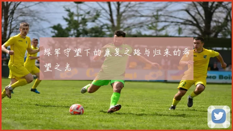 绿军守望下的康复之路与归来的希望之光
